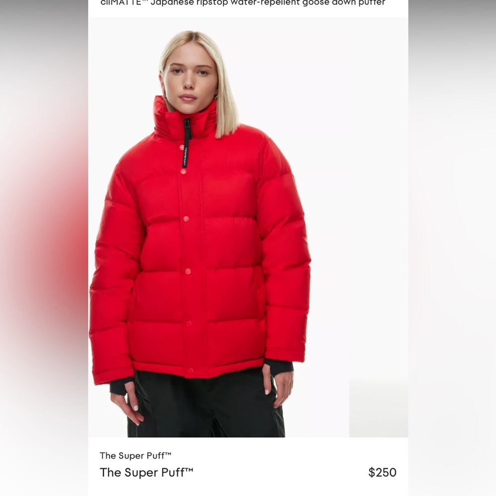 Aritzia Super Puff